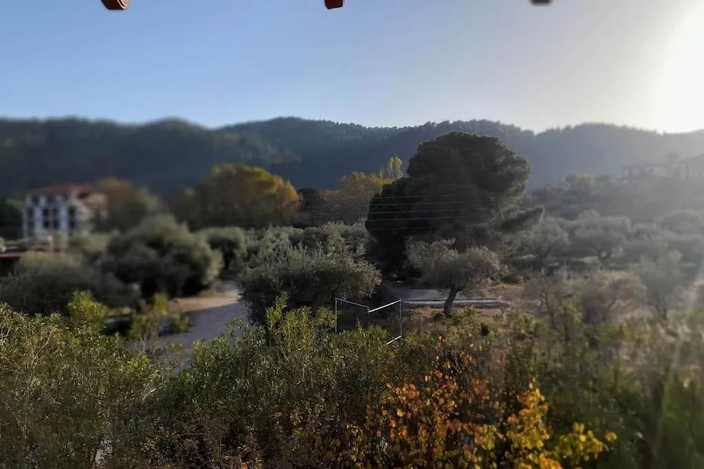 Villa Dimitrios Vourvourou
